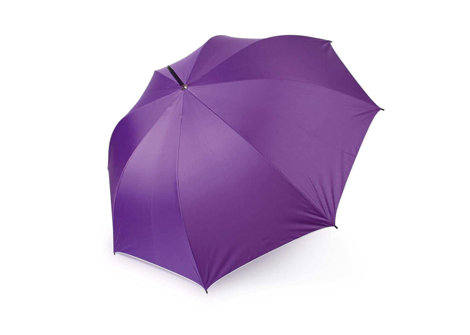 https://www.patrickandsant.com/CompanyFiles/Ref/203645/3036415_16PA0137_2.jpg