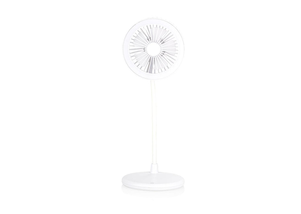 https://www.patrickandsant.com/CompanyFiles/Ref/204216/3038576_16HE0339_2.jpg