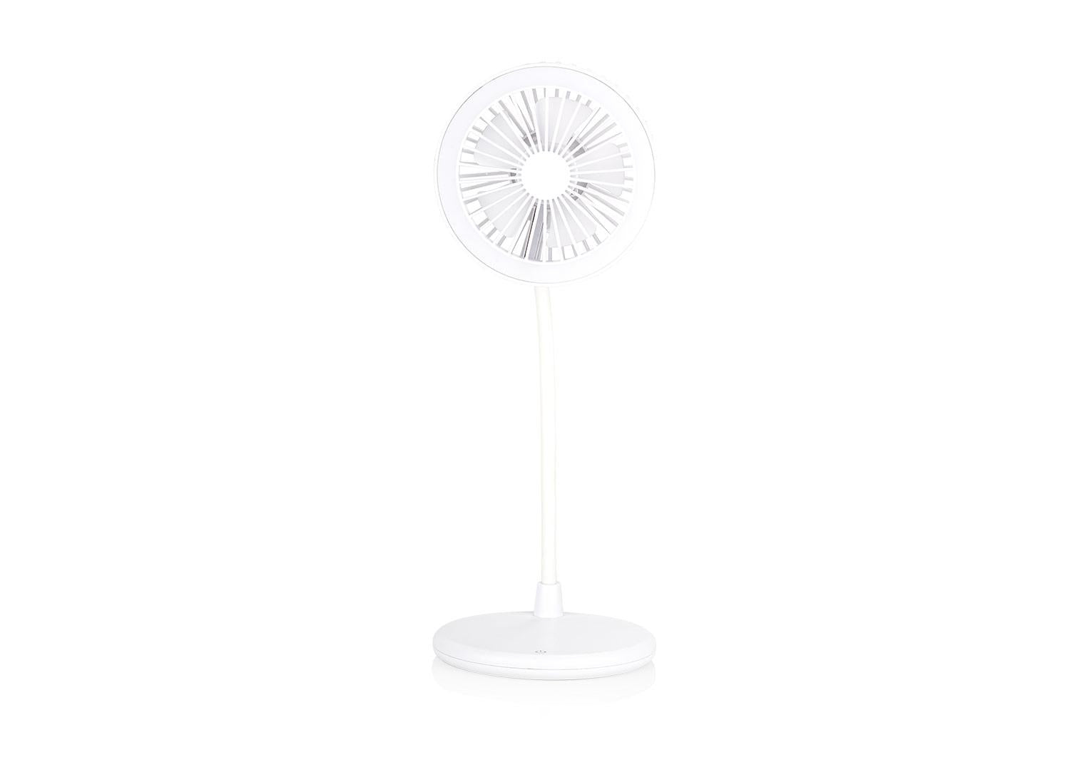https://www.patrickandsant.com/CompanyFiles/Ref/204216/3038576_16HE0339_2.jpg