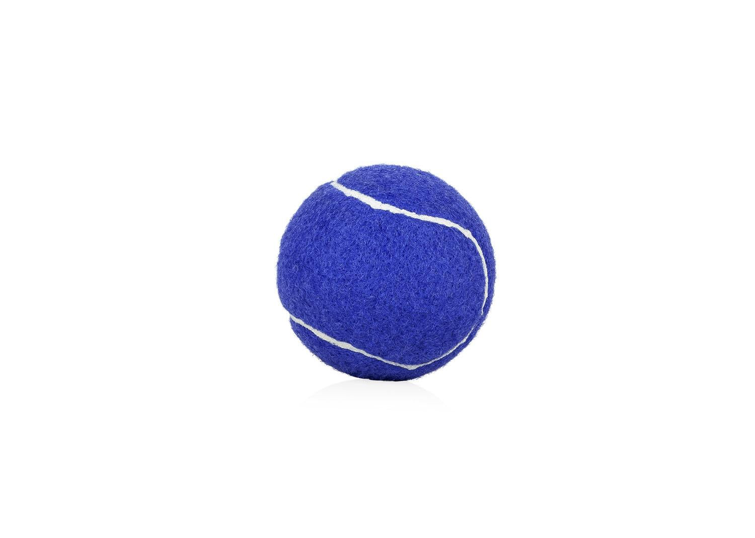 PELOTA PARA MASCOTAS MARLEY Imagen secundaria del producto