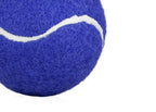 https://www.patrickandsant.com/CompanyFiles/Ref/200060/3038793_16HO0403_2.jpg