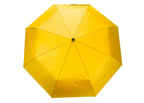https://www.patrickandsant.com/CompanyFiles/Ref/201358/3039978_16PA0161_1.jpg