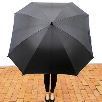 https://www.patrickandsant.com/CompanyFiles/Ref/701106/924NEG_61924_2.jpg