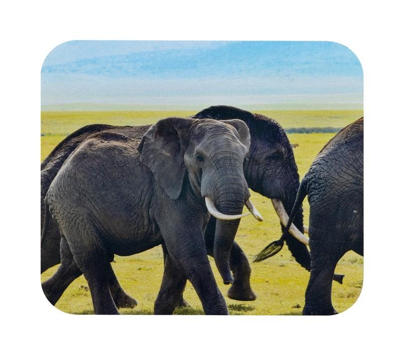 https://www.patrickandsant.com/CompanyFiles/Ref/400859/MOP%20002%20B_182MOP%20002_3.jpg