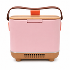 https://www.patrickandsant.com/CompanyFiles/Ref/3136/Mini%20Nevera%20Vintage%207.png